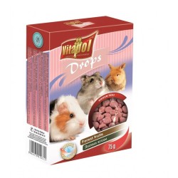 VITAPOL Dropsy dla gryzoni - owoce lasu 75g
