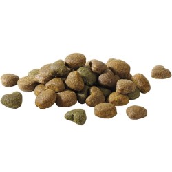 VERSELE-LAGA Happy Life Adult Chicken Energy 15kg