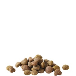 VERSELE-LAGA Happy Life Adult Chicken 15 kg