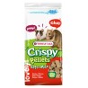 VERSELE-LAGA Crispy Pellets Rats & Mice - dla szczurów i myszy 1 kg