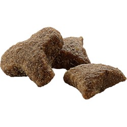 VERSELE-LAGA Ferret Complete - ekstrudat dla fretek 10 kg