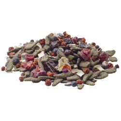 VERSELE-LAGA Nature Snack Berries 85g - dla gryzoni i królików 85g