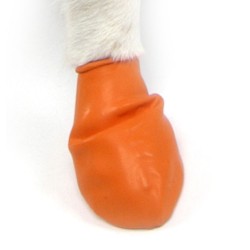 PAWZ Buty gumowe ochronne - Kolorowe XS - Pomarańczowy (1szt.)