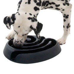 BUSTER DogMaze Inteligentna miska labirynt dla psa - duża Zielony