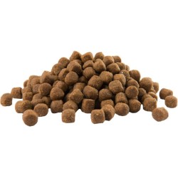VERSELE-LAGA Opti Life Puppy Medium 12,5kg