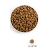 ACANA DOG Puppy Large Breed 2x 11,4kg