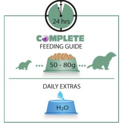 VERSELE-LAGA Ferret Complete - ekstrudat dla fretek 750g
