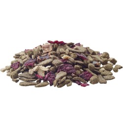 VERSELE-LAGA Nature Snack Fibres - dla gryzoni i królików 2kg