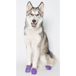 PAWZ Buty gumowe ochronne - Kolorowe L - Fioletowy (1szt.)