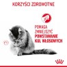 ROYAL CANIN  Hairball Care w sosie karma mokra w sosie dla kotów dorosłych, eliminacja kul włosowych 24x 85g