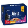 BRIT PREMIUM CAT Family Plate saszetki w sosie 12x 100g