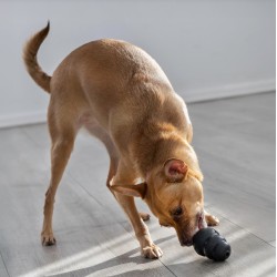 KONG Extreme M (8,5cm)