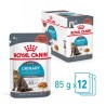 ROYAL CANIN Urinary Care karma mokra plasterki w sosie dla kotów dorosłych, wspierająca zdrowie dróg moczowych 85g