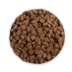 ACANA DOG Light & Fit Dog 2x 11,4kg