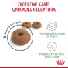 ROYAL CANIN Digestive Care karma sucha dla kotów dorosłych wspierająca prawidłowe trawienie 10 kg