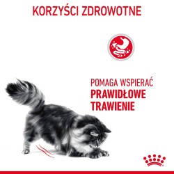 ROYAL CANIN Digestive Care karma sucha dla kotów dorosłych wspierająca prawidłowe trawienie 2x 10 kg