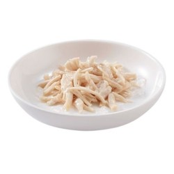 SCHESIR Cat Filety z kurczaka (saszetka) 100g