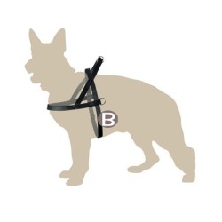 DINGO Szelki Fińskie z uchwytem 2 (92-104cm)