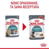 ROYAL CANIN  Hairball Care w sosie karma mokra w sosie dla kotów dorosłych, eliminacja kul włosowych 12x 85g