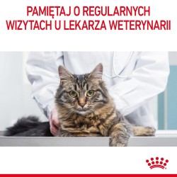ROYAL CANIN  Hairball Care w sosie karma mokra w sosie dla kotów dorosłych, eliminacja kul włosowych 12x 85g