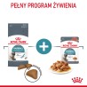 ROYAL CANIN  Hairball Care w sosie karma mokra w sosie dla kotów dorosłych, eliminacja kul włosowych 48x 85g