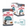 ROYAL CANIN  Hairball Care w sosie karma mokra w sosie dla kotów dorosłych, eliminacja kul włosowych 48x 85g