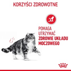 ROYAL CANIN Urinary Care karma mokra plasterki w sosie dla kotów dorosłych, wspierająca zdrowie dróg moczowych 85g