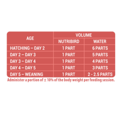 VERSELE-LAGA NutriBird A19 - do ręcznego karmienia piskląt 3 kg