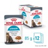 ROYAL CANIN Urinary Care karma mokra plasterki w sosie dla kotów dorosłych, wspierająca zdrowie dróg moczowych 85g