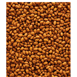 VERSELE-LAGA NutriBird G14 Original - granulat dla średnich papug 1kg