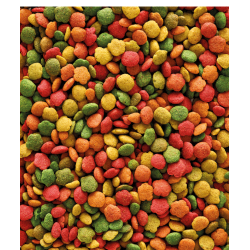 VERSELE-LAGA NutriBird G14 Tropical - pokarm dla średnich papug 1kg