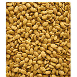 VERSELE-LAGA NutriBird P15 Original - granulat dla dużych papug 1kg