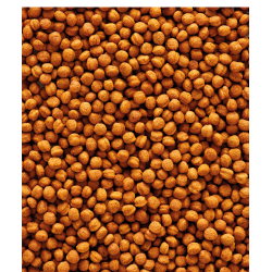 VERSELE-LAGA NutriBird T16 Original - granulat dla tukanów 10kg