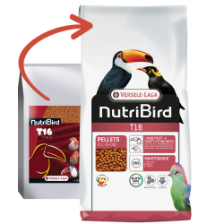 VERSELE-LAGA NutriBird T16 Original - granulat dla tukanów 10kg