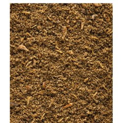 VERSELE-LAGA Nutribird Insect Patee - pokarm z dodatkiem insektów 250g