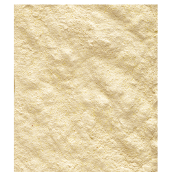 VERSELE-LAGA Orlux Handmix - karma do ręcznego odchowu piskląt 500g