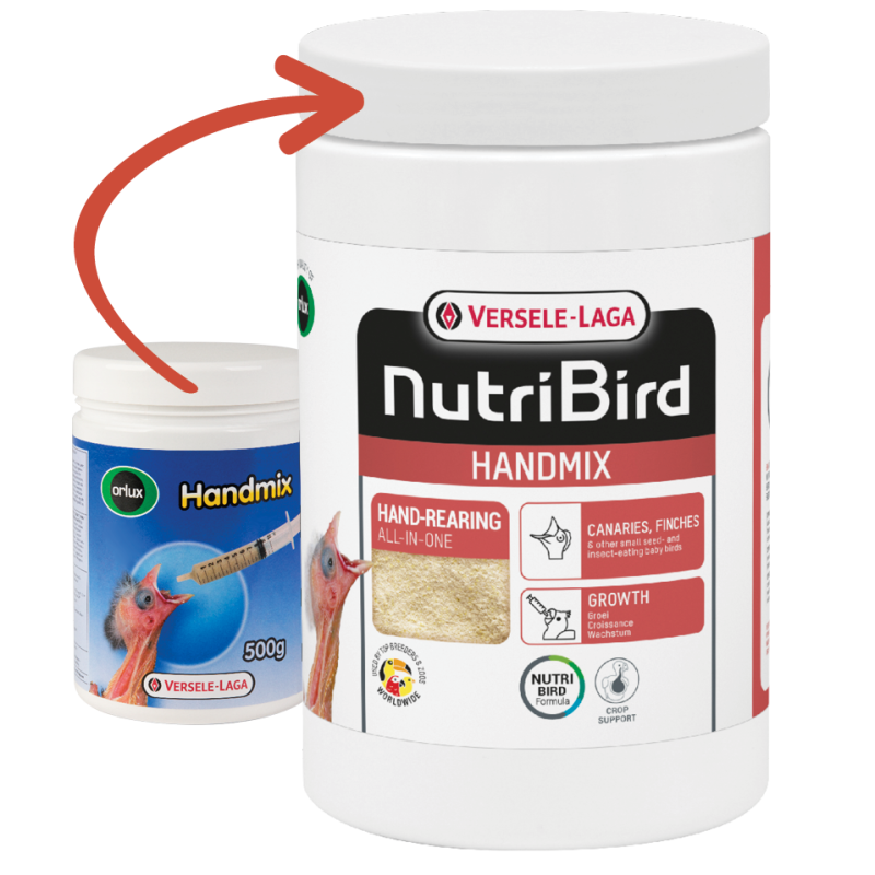 VERSELE-LAGA Orlux Handmix - karma do ręcznego odchowu piskląt 500g