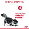 ROYAL CANIN Digestive Care karma sucha dla kotów dorosłych wspierająca prawidłowe trawienie 10 kg