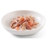 SCHESIR CAT Tuna fillet tuna with shrimps in jelly (puszka) 6x 85g