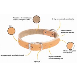 DINGO Obroża skórzana podszyta filcem - Czarna 3cm / 50cm