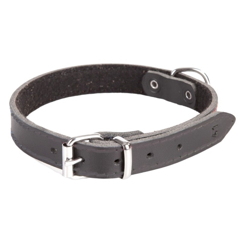 DINGO Obroża skórzana podszyta filcem - Czarna 2,2cm / 55cm