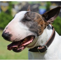 DINGO Obroża skórzana podszyta filcem - Czerwona 1,6cm / 41cm