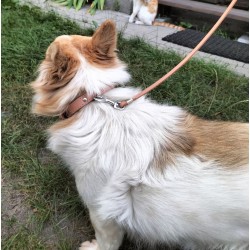 DINGO Obroża skórzana podszyta filcem - Czerwona 2cm / 50cm