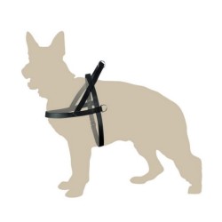 DINGO Szelki Fińskie/Norweskie z uchwytem S