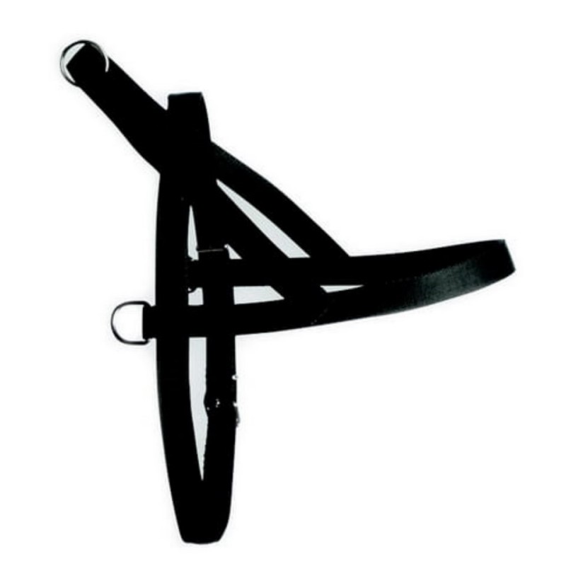 DINGO Szelki Fińskie/Norweskie z uchwytem M