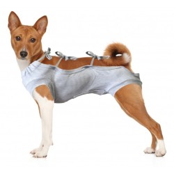 GRANDE FINALE Koszulka pooperacyjna - Szara Nr. 4 (44cm)