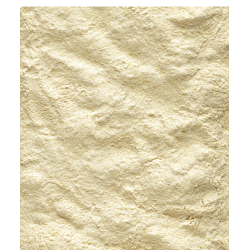 VERSELE-LAGA NutriBird A21 - do ręcznego karmienia piskląt 3 kg