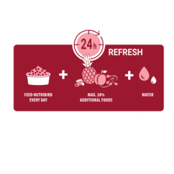 VERSELE-LAGA NutriBird B14 - granulat dla papużek falistych 800g