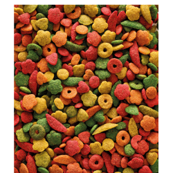 VERSELE-LAGA NutriBird P15 Tropical - granulat dla dużych papug 1kg