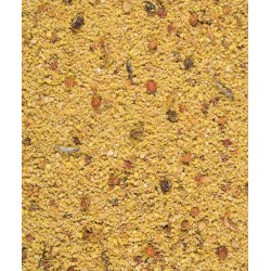 VERSELE-LAGA Orlux Gold Patee Big Parakeets and Parrots - dla średnich i dużych papug 1 kg